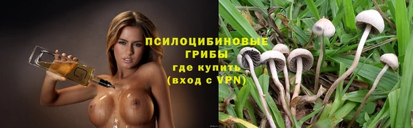 Альфа ПВП Алексин