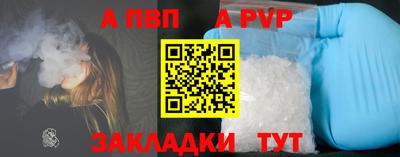 spice Кингисепп