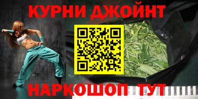 spice Кингисепп
