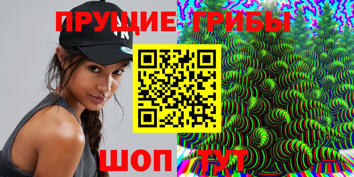 Галлюциногенные грибы Psilocybine cubensis Михайловск